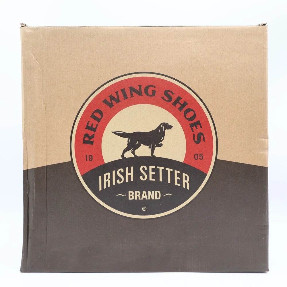 Irish Setter irish setter